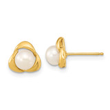14k 5-6mm White Button Freshwater Cultured Pearl Post Earrings - XF-18003460-3521