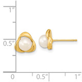 14k 5-6mm White Button Freshwater Cultured Pearl Post Earrings - XF-18003460-3521