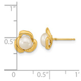 14k 5-6mm White Button Freshwater Cultured Pearl Post Earrings - XF-F83B47F1-1746