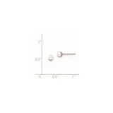 Sterling Silver Rhodium-plated 3-4mm White Round Freshwater Cultured Pearl Post Earrings