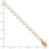 14k 5-6mm White Round Akoya Saltwater Cultured Pearl 7 inch Bracelet - PL-B582A37D-8308