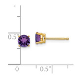 14k 5mm Amethyst Post Earrings