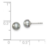 Sterling Silver Rhodium-plated 5-6mm Grey Button Freshwater Cultured Pearl Post Earrings