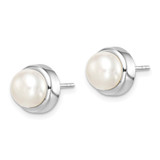 Sterling Silver Rhodium-plated 7-8mm White Button Freshwater Cultured Pearl Post Earrings - QE-3F65C495-6720