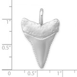 Sterling Silver Rhodium-Plated Brushed and Polished Great White Shark Tooth Pendant