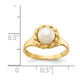 14K 6-7mm White Button Freshwater Cultured Pearl Ring