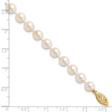 14k 6-7mm White Round Akoya Saltwater Cultured Pearl 7 inch Bracelet - PL-DDE484E5-8463