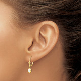 14k 6x4 Oval Bezel October/Opal Leverback Earrings