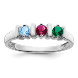 Sterling Silver Rhodium-plated Family Jewelry Mounting - XM-FB9C07F6-5261