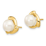 14K 7-8mm White Button Freshwater Cultured Pearl Post Earrings - XF-9399D3EF-4766