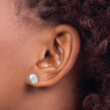 Sterling Silver Rhodium-plated Polished Sand Dollar Post Earring