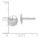 Sterling Silver Rhodium-plated Polished Sand Dollar Post Earring