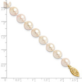 14k 7-8mm White Round Akoya Saltwater Cultured Pearl 7 inch Bracelet - PL-08780741-1568