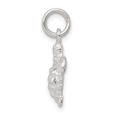 Sterling Silver Turtle Charm - QC-D2AE9BC0-5170