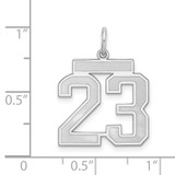 Sterling Silver/Gold-plated Satin Number 23 Charm