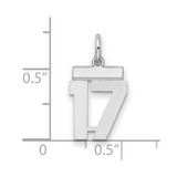 Sterling Silver/Rhodium-plated Polished Number 17 Charm - QS-DCC409D7-9941
