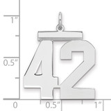 Sterling Silver/Rhodium-plated Polished Number 42 Charm - QP-A4448A48-7332