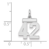 Sterling Silver/Rhodium-plated Polished Number 42 Charm - QS-82B7FC7C-4650