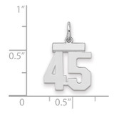 Sterling Silver/Rhodium-plated Polished Number 45 Charm - QS-EDF5B1FF-2248