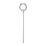 Sterling Silver/Rhodium-plated Polished Number 9 Charm - QP-32DAFF5C-6480