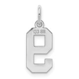 Sterling Silver/Rhodium-plated Polished Number 9 Charm - QS-6AB6214E-1782