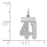 Sterling Silver/Rhodium-plated Satin Number 41 Charm