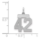 Sterling Silver/Rhodium-plated Satin Number 42 Charm - QP-B192C9DF-5667