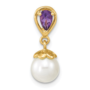 14K Gold w/ Amethyst & Freshwater Cultured Pearl Polished Chain Slide