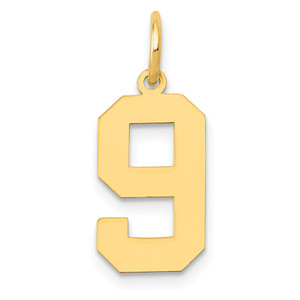 14k Medium Polished Number 9 Charm - LM-5AAB5ADF-7283