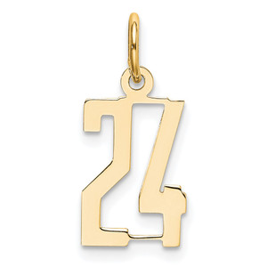 14k Small Elongated Number 24 Charm