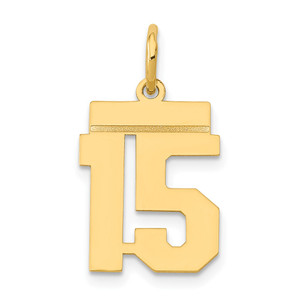 14k Small Polished Number 15 Charm