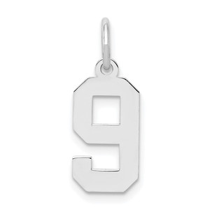 Sterling Silver/Rhodium-plated Polished Number 9 Charm - QS-6AB6214E-1782