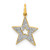 14k Diamond Star Charm