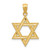 14k Diamond-cut Polished Star of David Pendant