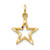 14k Diamond-cut Star Charm - C1-93DA9774-7291