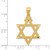 14k Diamond-cut Star of David Pendant