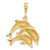 14k Dolphin Charm - C4-A77F11B7-4103