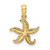 14K Flat Starfish Charm - K7-D3870780-6328
