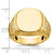 14k IBGoodman 16.5x14.8mm Men's Cushion Signet Ring