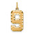 14k Large Brushed Diamond-cut  Number 9 Charm