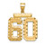 14k Large Brushed Diamond-cut Number 60 Charm