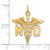 14k Large M.D. Caduceus Charm