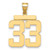 14k Large Polished Number 33 Charm