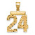 14k Medium Diamond-cut Number 24 Charm
