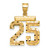 14k Medium Diamond-cut Number 25 Charm