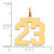 14k Medium Polished Number 23 Charm - LM-F329EEC9-5006
