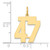 14k Medium Polished Number 47 Charm