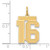 14k Medium Satin Number 16 Charm