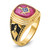14k Men's Polished and Textured with Black Enamel and Lab Created Ruby Masonic Ring - Y1-F4A25424-3528