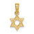 14K Mini Star Of David w/ Engraved Swirl Charm